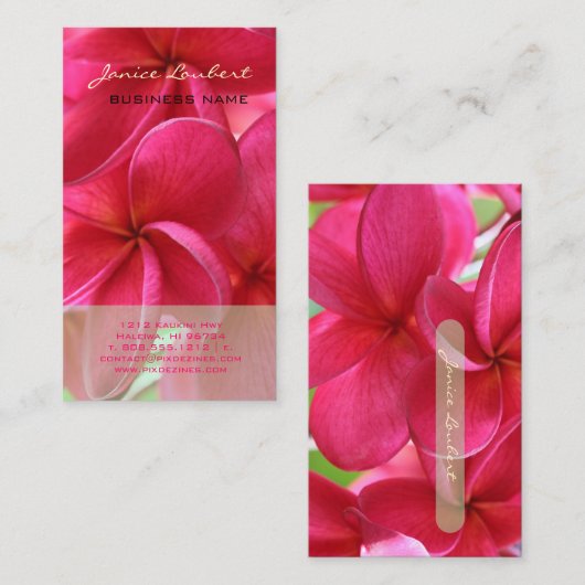 PixDezines KONA PINK PLUMERIAS 名刺 (正面/裏面)
