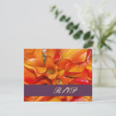 PixDezines LARGE RSVP ORANGE CALLA LILIES (スタンド正面)