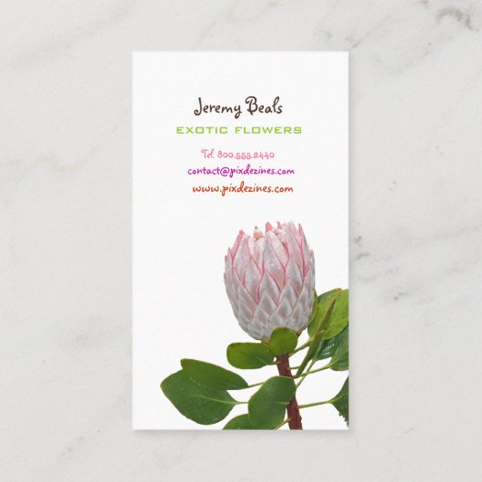 PixDezines maui protea(PixDezines maui protea♥) 名刺 (裏面)