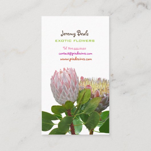 PixDezines maui protea(PixDezines maui protea♥) 名刺 (裏面)