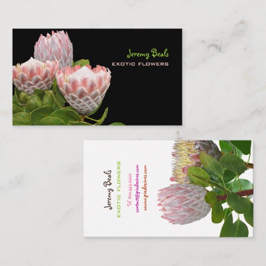 PixDezines maui protea(PixDezines maui protea♥) 名刺 (正面/裏面)