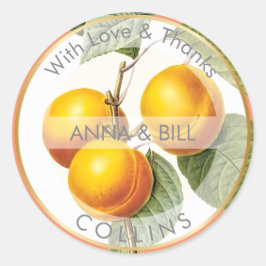 PixDezines Orchard/Peaches/DIY Thank You ラウンドシール