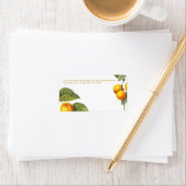 PixDezines Orchard/Peaches/Redoute ラベル (インサイチュ)