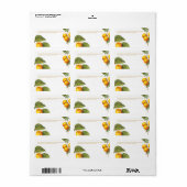 PixDezines Orchard/Peaches/Redoute ラベル (フルシート)