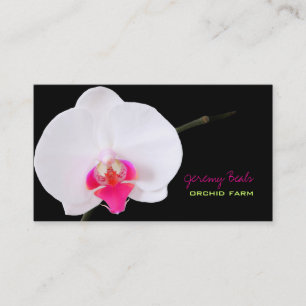 PixDezines orchid/diy背景色♥♥♥ 名刺