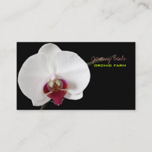 PixDezines orchid/diy背景色♥♥♥ 名刺
