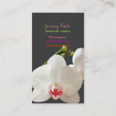 PixDezines orchid/diy背景色(PixDezines orchid/diy ♥ b 名刺 (裏面)