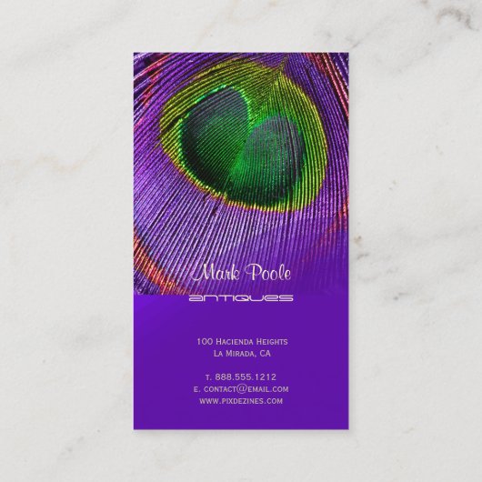 PixDezines Peacockフェザー名刺 名刺 (裏面)