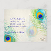 PixDezines peacock/DIYイベント+背景色 案内ポストカード (裏面)