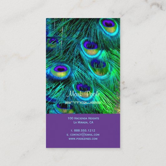PixDezines peacock feather/サイケデリックpeacock 名刺 (裏面)