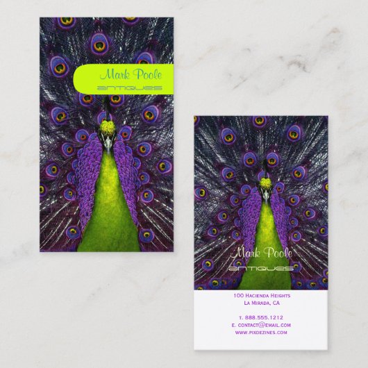 PixDezines peacock feather/purple+emerald 名刺 (正面/裏面)