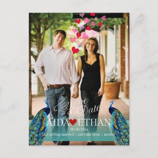 PixDezines photo+peacock/save the date 案内ポストカード (正面)
