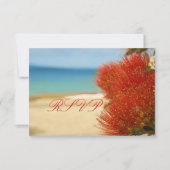 PixDezines RSVP Ohia+ビーチ (正面)