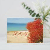 PixDezines RSVP Ohia+ビーチ (スタンド正面)