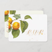 PixDezines RSVP Orchard/Peachs/Redoute (正面/裏面)