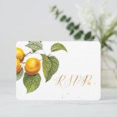 PixDezines RSVP Orchard/Peachs/Redoute (スタンド正面)