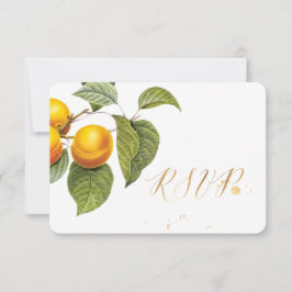 PixDezines RSVP Orchard/Peachs/Redoute