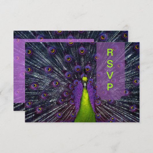 PixDezines rsvp Peacock Fethere (正面/裏面)