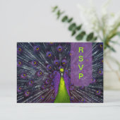 PixDezines rsvp Peacock Fethere (スタンド正面)