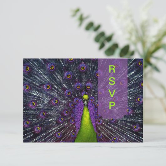 PixDezines rsvp Peacock Fethere (スタンド正面)