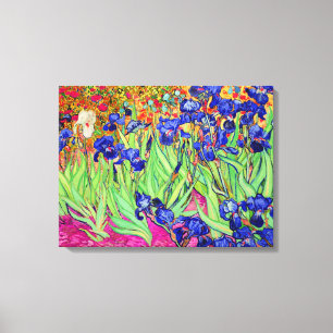 PixDezines van ゴッホ・アイリス/st. remy キャンバスプリント
