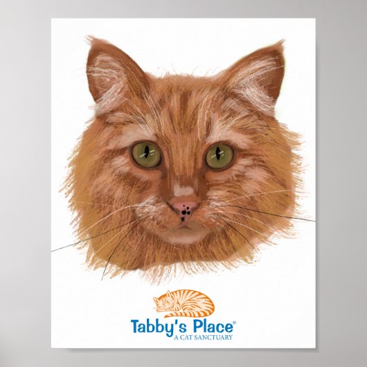 Pixieポートレートポスター ポスター (正面)