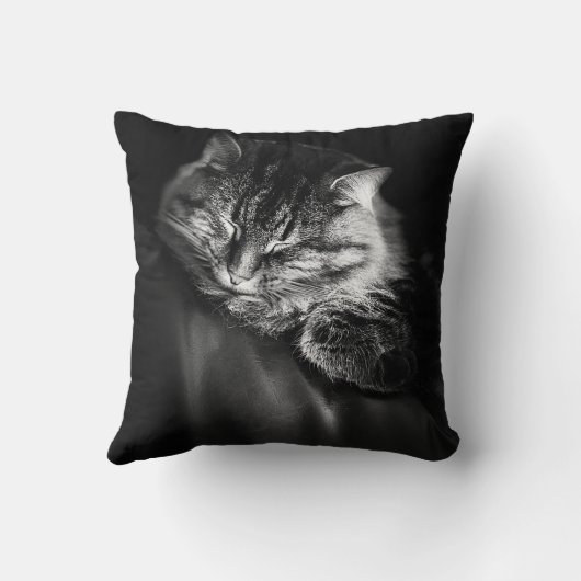 Pixie装飾用クッション-2 クッション (裏面)