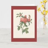 PJ Redoute -ローザのcentifoliaのproliferaのfoliacea カード (黄色い花)