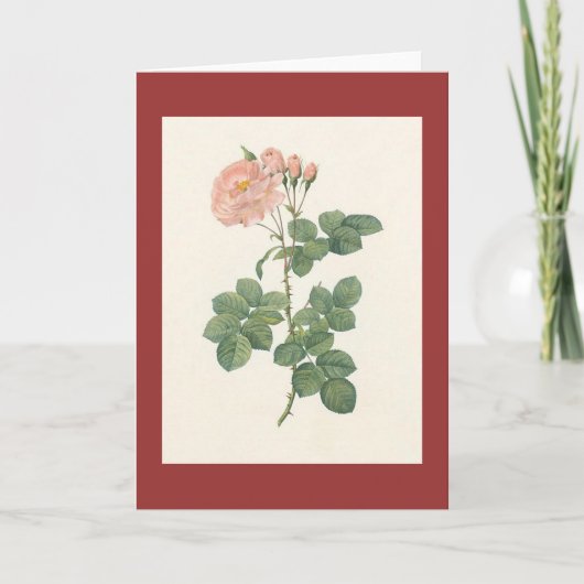 PJ Redoute -ローザのdamascenaのオーロラ カード (正面)