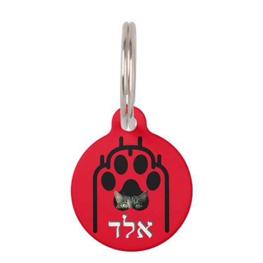 Placa para macotas Pequeña, ¨b'li ayin hara¨ ペット　ネームタグ (正面)