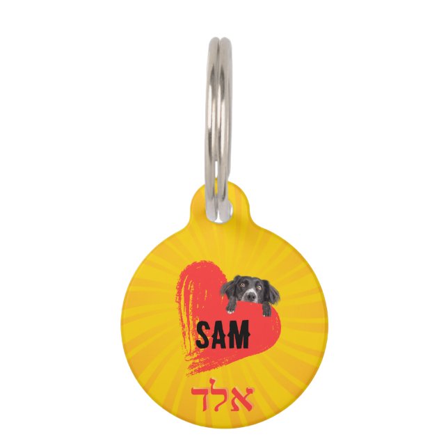 Placa para mascotas, Pequeña, ¨b'li ayin hara¨ ペット　ネームタグ (正面)