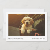 Plaidエレガント Christmas Puppy Dog Family Photo シーズンカード (正面)