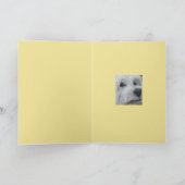 Plaidカード上のMadeline カード (内部)