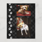 plaid pws pet loss悔やみや弔慰カード (裏面)