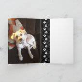 plaid pws pet loss悔やみや弔慰カード カード (内部)