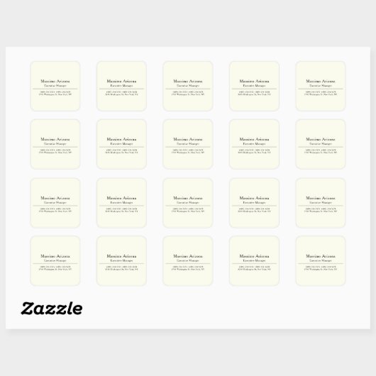 Plain Professional Modern Minimailst スクエアシール (シート)