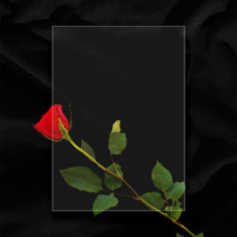 Plain Transparent 5"x7"空白の結婚の アクリル招待状