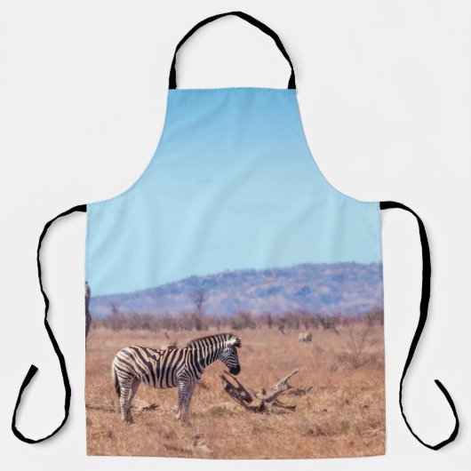 Plains zebra in Kruger National park, South Africa エプロン (正面)
