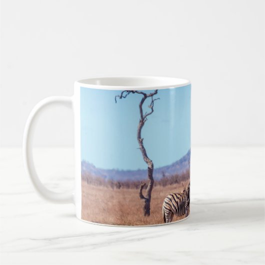 Plains zebra in Kruger National park, South Africa コーヒーマグカップ (左)
