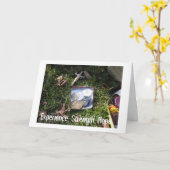 Plainville金曜の夜ChipsII カード (黄色い花)