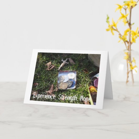 Plainville金曜の夜ChipsII カード (黄色い花)