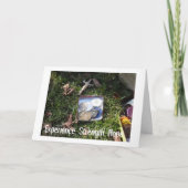 Plainville金曜の夜ChipsII カード (正面)