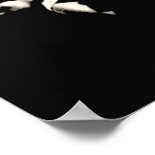 Plan 9 from Outer Space ポスター (角)