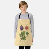 Planche Botanique Figue Ficus Carica  エプロン (着用した状態)