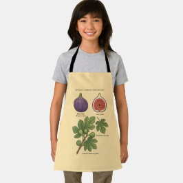 Planche Botanique Figue Ficus Carica  エプロン