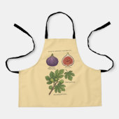 Planche Botanique Figue Ficus Carica  エプロン (正面)