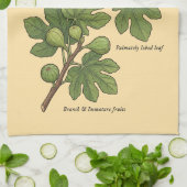 Planche Botanique Figue Ficus Carica キッチンタオル (折り畳み)