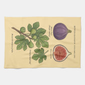 Planche Botanique Figue Ficus Carica キッチンタオル (横)