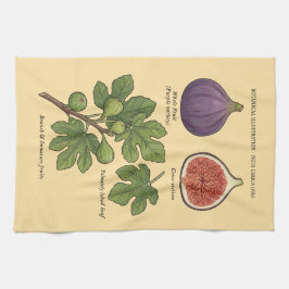 Planche Botanique Figue Ficus Carica キッチンタオル