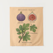 Planche Botanique Figue Ficus Carica  タペストリー (正面)
